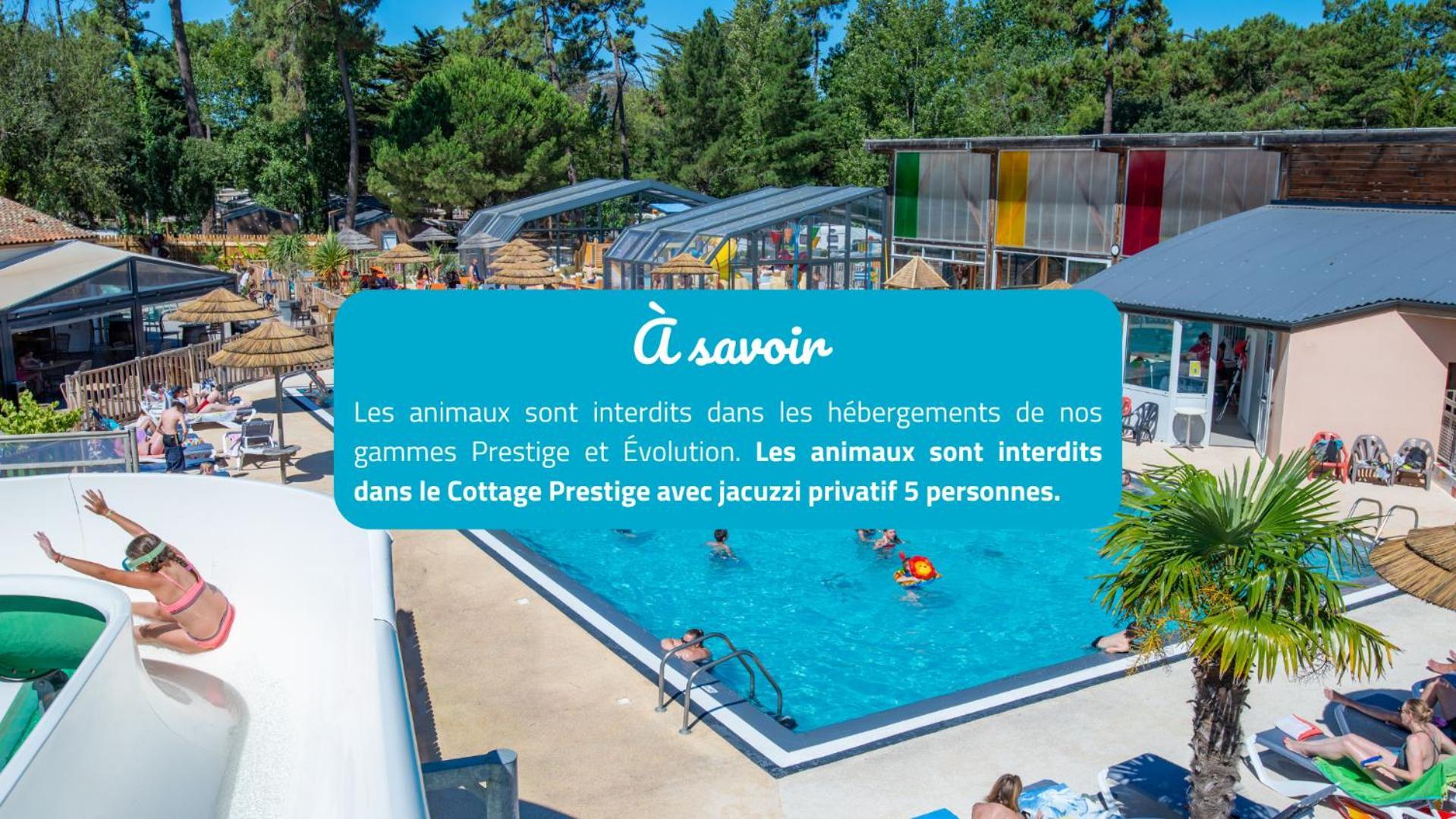 Camping Signol Boyardville Exterior foto